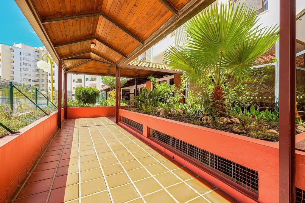 T2 With Pool, 300m From The Apartamento *
