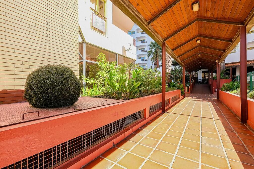 T2 With Pool, 300m From The Appartement
